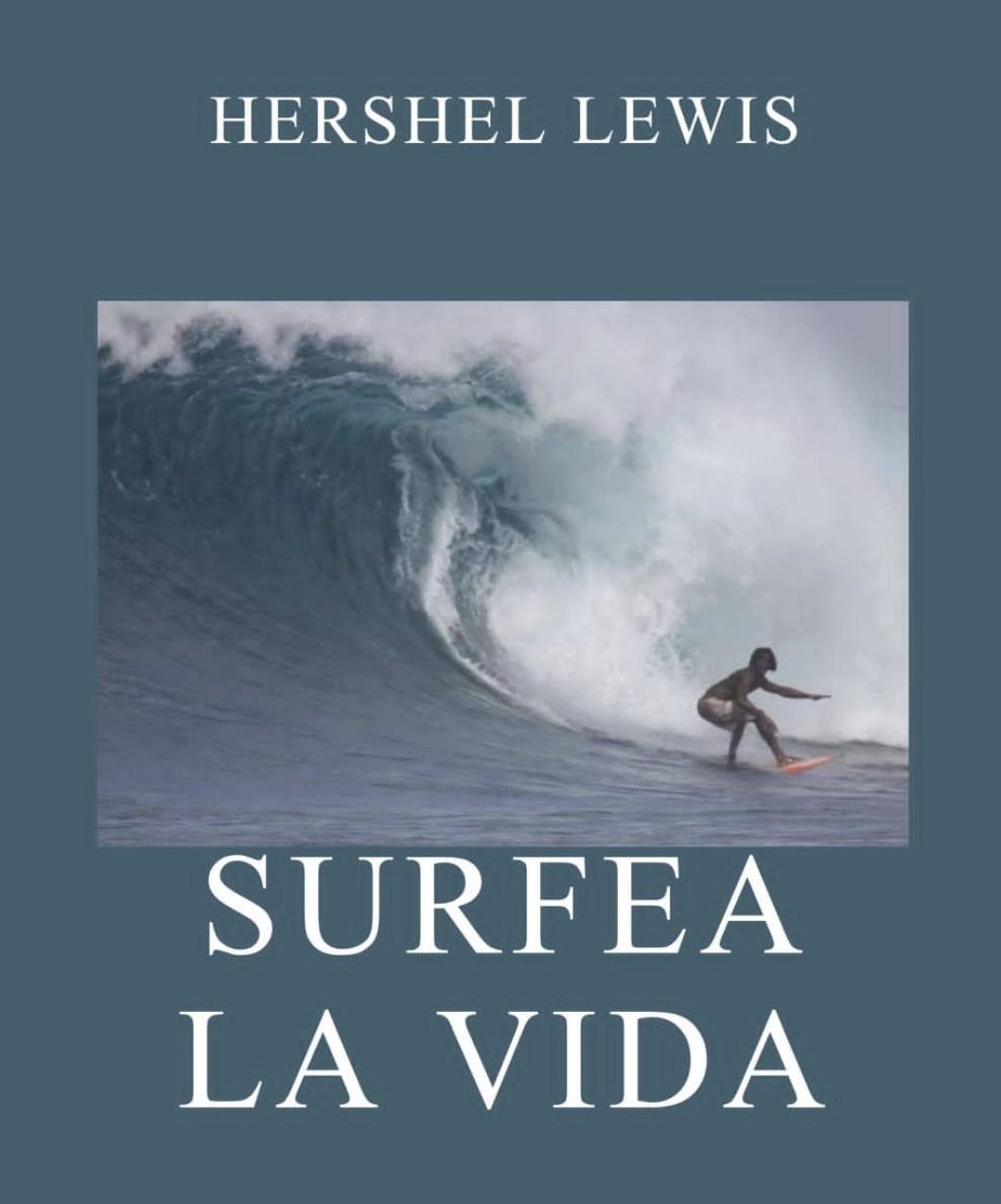 Hershel Lewis's Caribbean Surf School and Shop brand graphic, surfer dropping into a wave