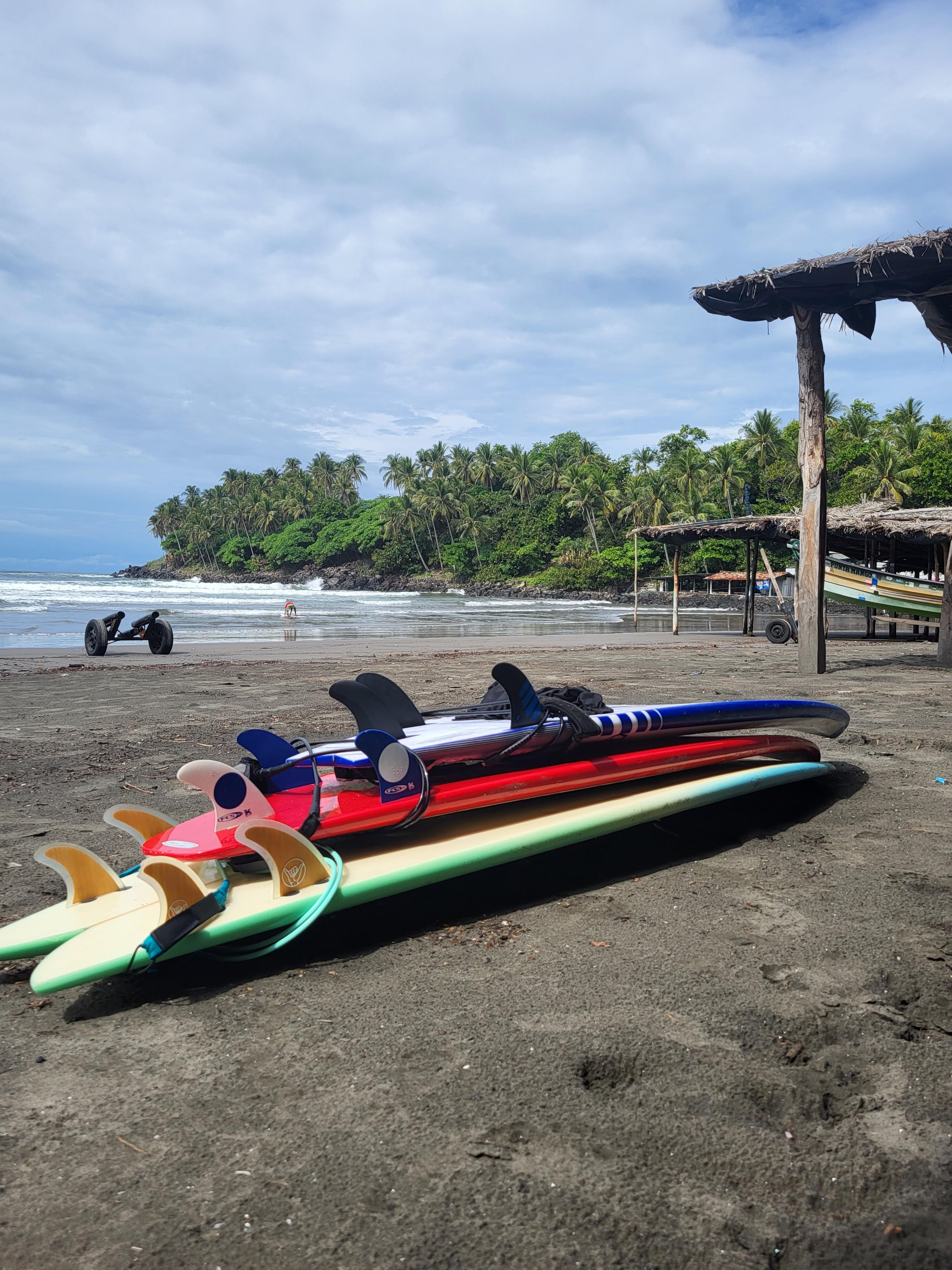 Surfboards lined up on the beach at Punta Mango