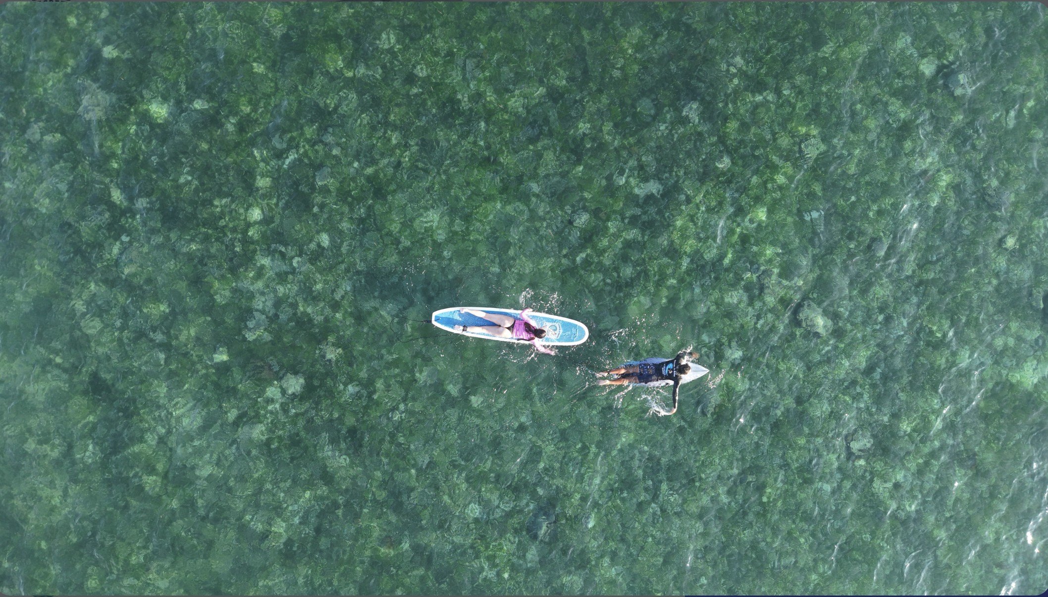 Aerial view of Jet guiding a student on a paddleboard over the reef