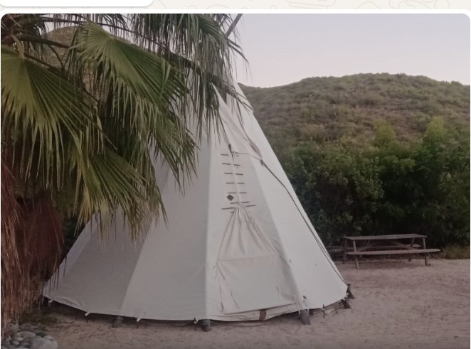 Canvas teepee under a palm tree with a picnic table