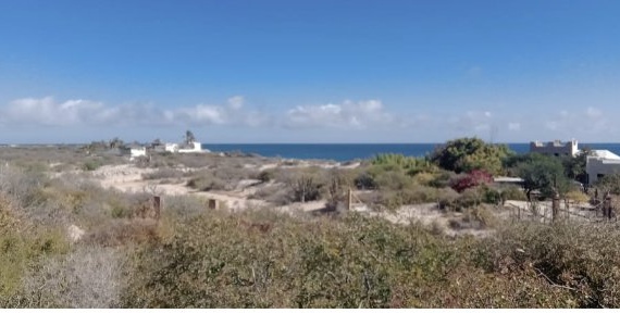 View from the penthouse over desert scrub to the Sea of Cortez
